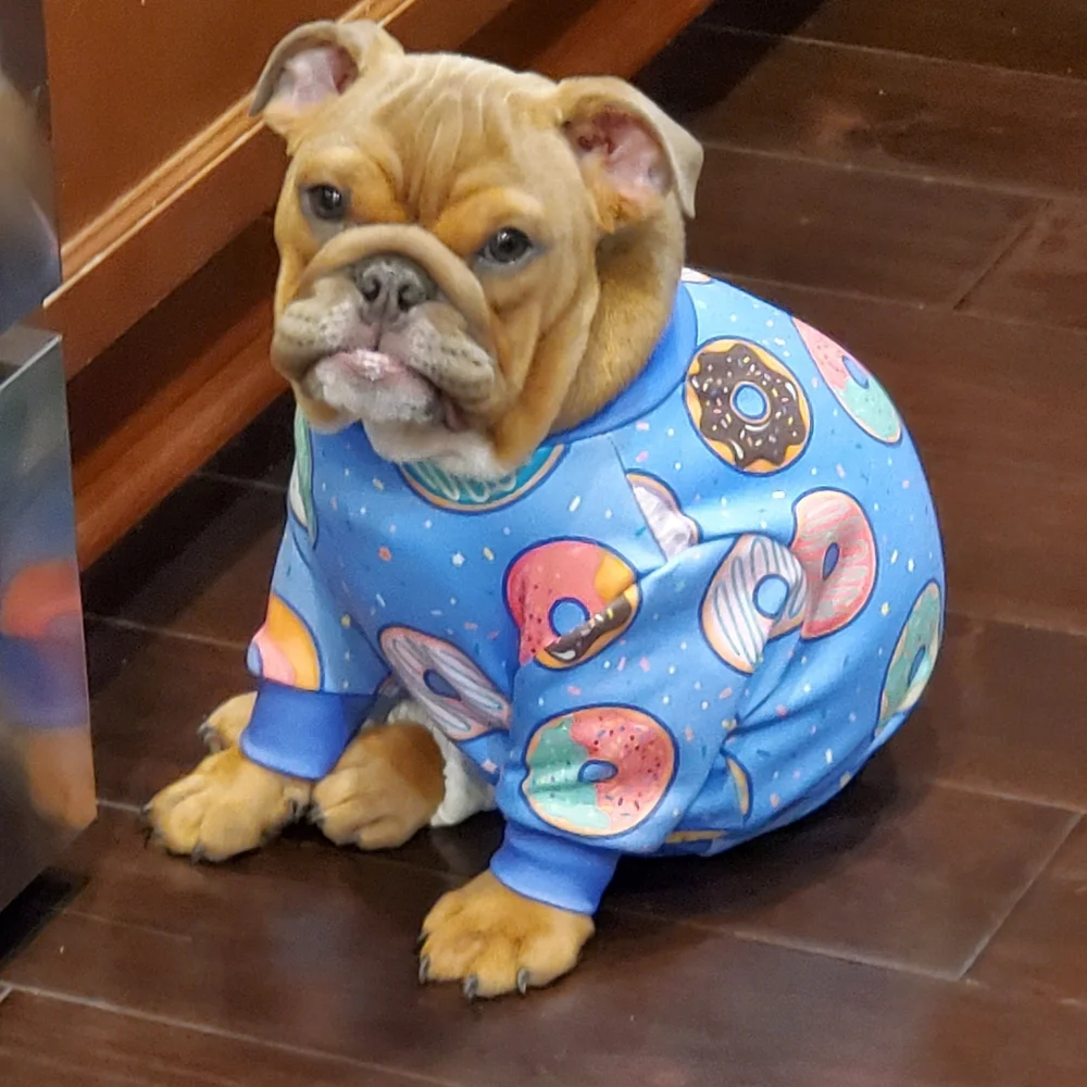 Spark Paws Dog‎ Lot